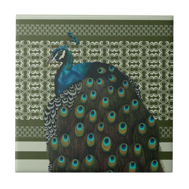 Elegant Peacock Bird Bird Lovers Tile (Front)