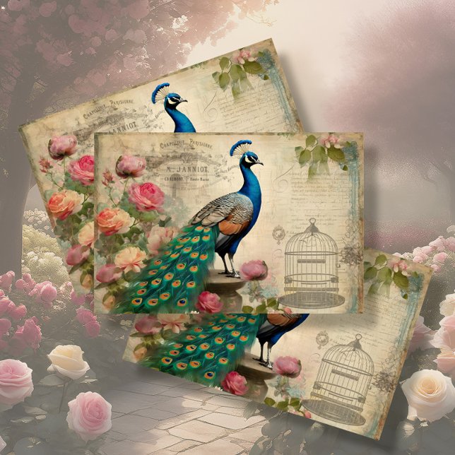 Elegant Peacock Birdcage Floral Ephemera Decoupage Tissue Paper (Creator Uploaded)