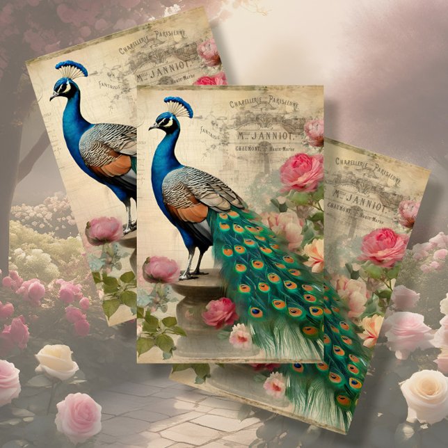 Elegant Peacock Birdcage Floral Ephemera Decoupage Tissue Paper (Creator Uploaded)