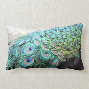 Elegant Peacock Feathers Lumbar Throw Pillow