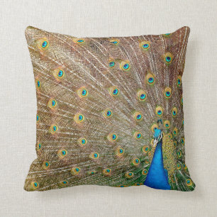 Elegant Peacock Feathers Throw Pillow