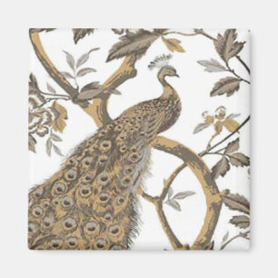 Elegant Peacock On White Magnet