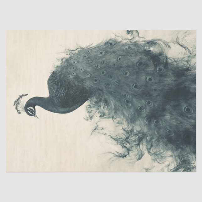 Elegant Peacock Ornithology-Inspired Decoupage Art Tissue Paper (Front)