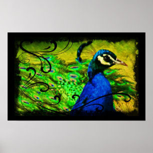 Elegant Peacock Swirl Artistic Fine Art Poster