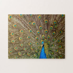Elegant Peacock Tail Feathers Jigsaw Puzzle