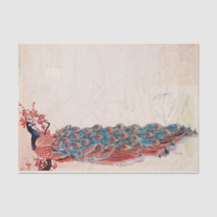 Elegant Peacock Tissue Paper