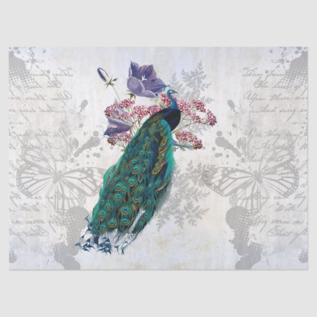 Elegant Peacock  Vintage Illustration Ephemera Tissue Paper (Front)