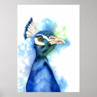 Elegant Peacock Watercolor Painting