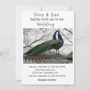 Elegant Peacock Wedding Invitation