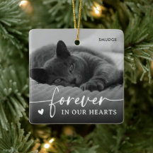 Elegant Pet Cat Photo Keepsake Memorial