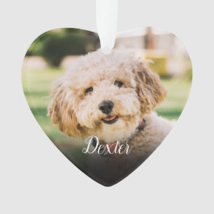 Elegant Pet Loss Cat Dog Photo Memorial Ornament