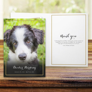 Elegant Pet Loss Sympathy Photo Thank You Card