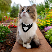 Elegant pet tuxedo bandanna with bowtie adjustable