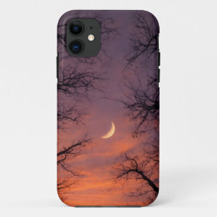 Elegant phone case with natural landscapes