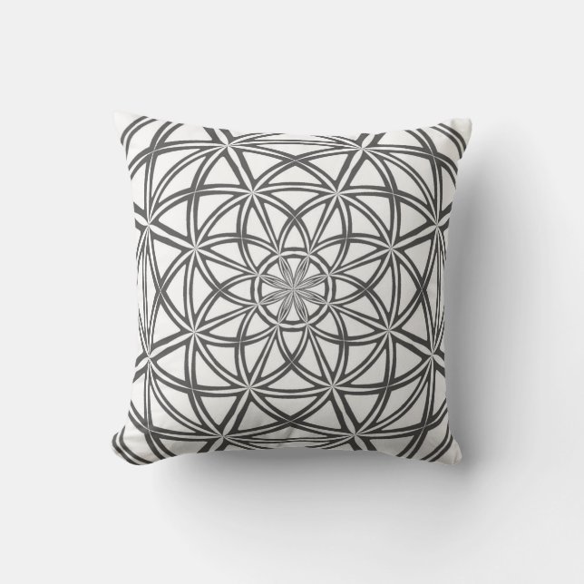 Elegant Pillow with Modern Abstract Design (Front)
