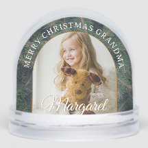 Elegant Pine Border Photo Snow Globe
