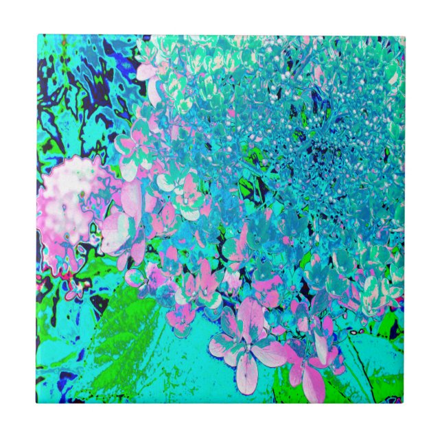 Elegant Pink and Blue Limelight Hydrangea Tile (Front)