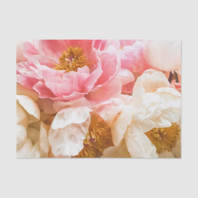 Elegant Pink and Cream Peonies Tissue Paper (Front)