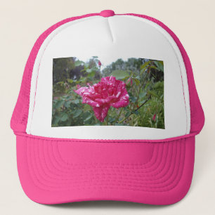 Elegant Pink And White Striped Rose, Truckers Hat