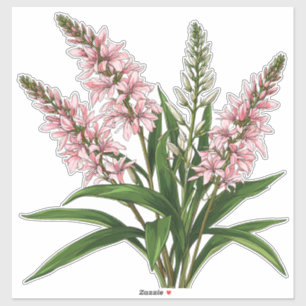 Elegant Pink Blooms With Green Leaves