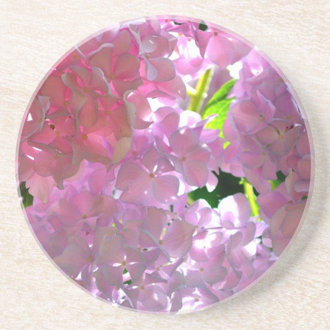 Elegant pink boho florals flowers hydrangeas coaster (Front)