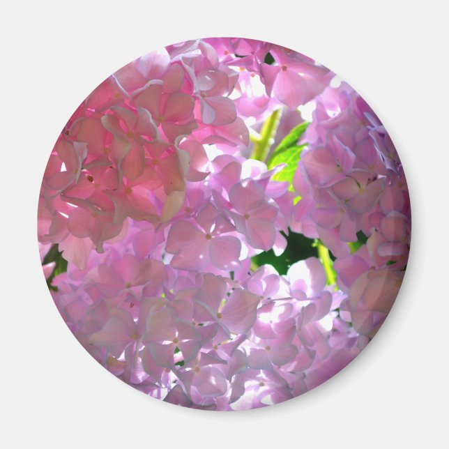 Elegant pink boho florals flowers hydrangeas magnet (Front)