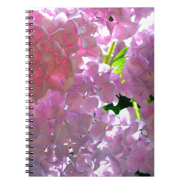 Elegant pink boho florals flowers hydrangeas notebook (Front)