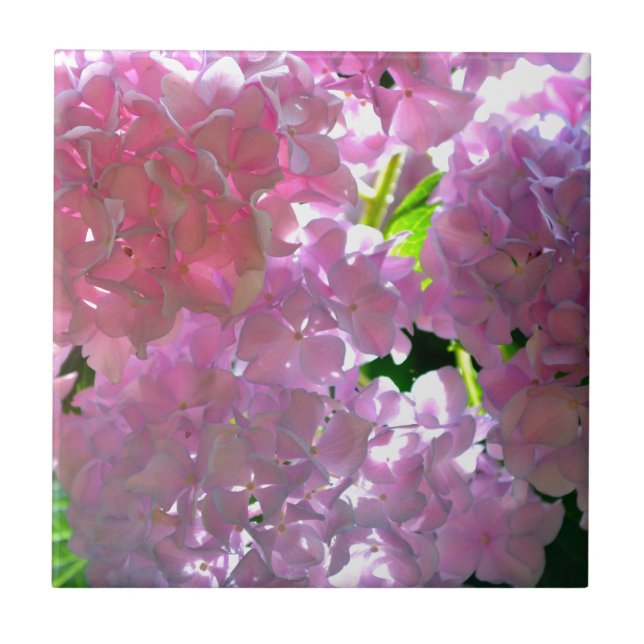 Elegant pink boho florals flowers hydrangeas tile (Front)