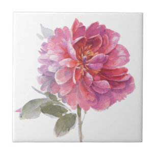 Elegant Pink Botanical Watercolor Tile