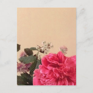 Elegant Pink Cream Floral Postcard