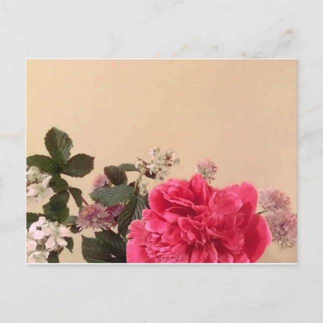 Elegant Pink Cream Floral Postcard (Front)