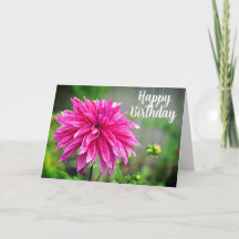 Elegant Pink Dahlia Garden Flower