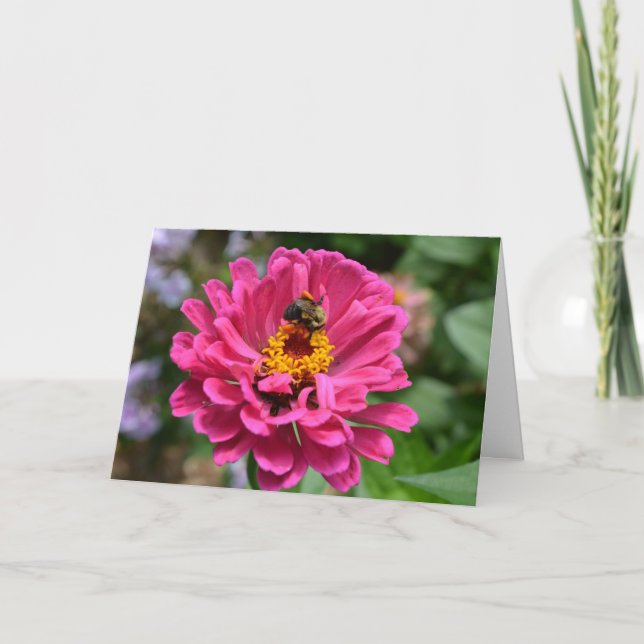 Elegant pink floral flower mum daisy honeybee holiday card (Front)