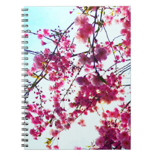 Elegant Pink floral flowers Cherry blossoms Notebook