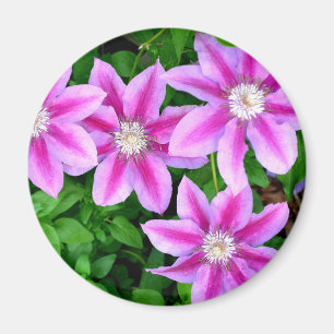 Elegant pink floral green botanical magnet