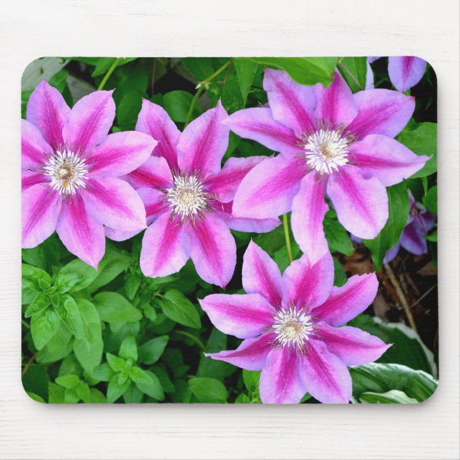 Elegant pink floral green botanical  mouse mat (Front)