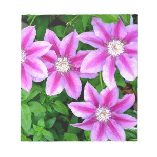 Elegant pink floral green botanical notepad