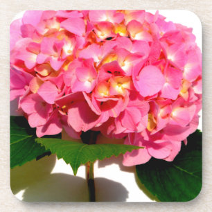 Elegant pink floral pink hydrangea coaster