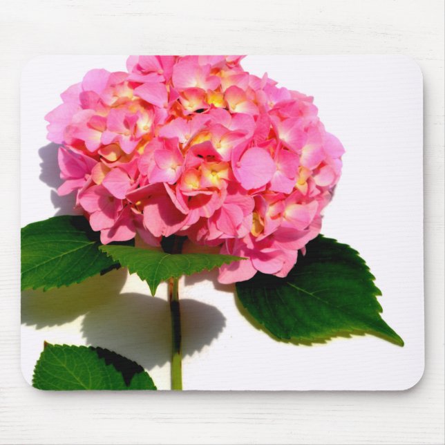 Elegant pink floral pink hydrangea  mouse mat (Front)