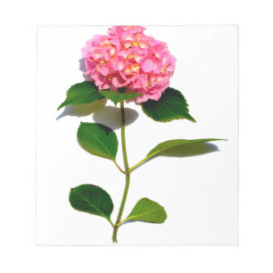 Elegant pink floral pink hydrangea notepad