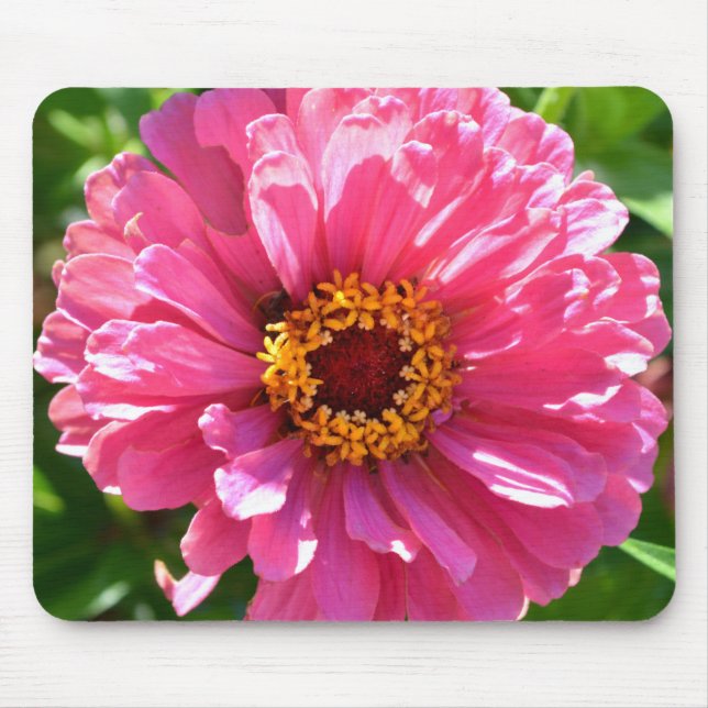 Elegant pink floral retro pink daisy  mouse mat (Front)