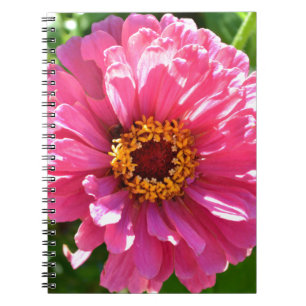 Elegant pink floral retro pink daisy  notebook