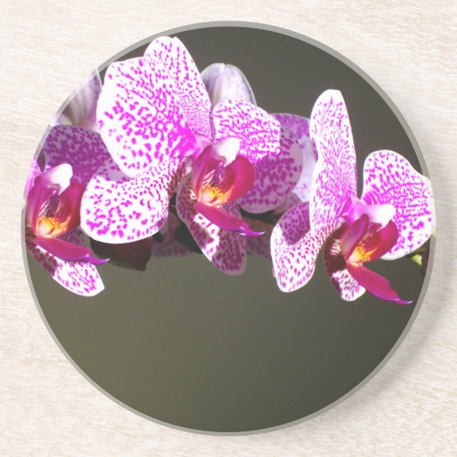 Elegant pink floral tropical pink orchids coaster (Front)