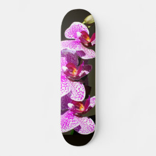 Elegant pink floral tropical pink orchids skateboard