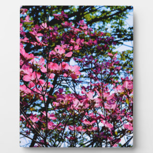 Elegant pink florals flowering dogwood tree plaque