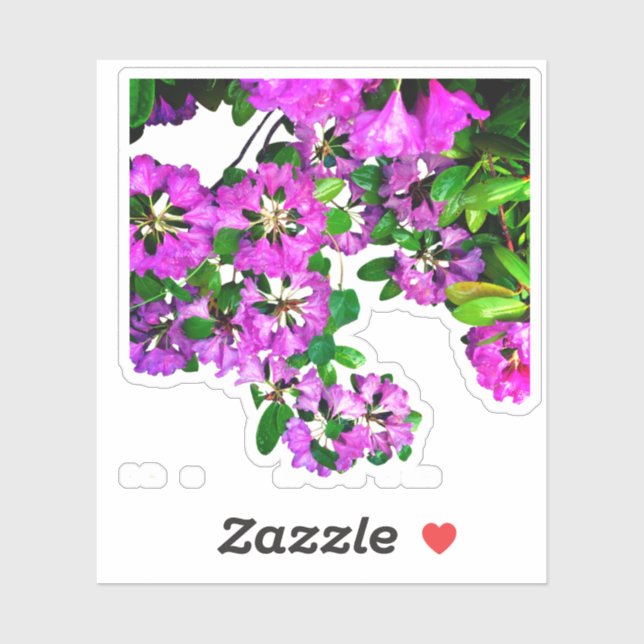 Elegant pink florals pink azaleas pink flowers (Sheet)