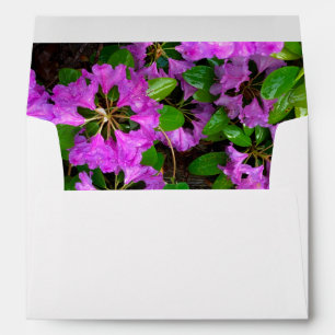 Elegant pink florals pink azaleas pink flowers envelope