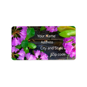 Elegant pink florals pink azaleas pink flowers label