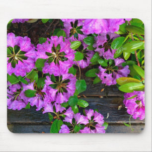 Elegant pink florals pink azaleas pink flowers mouse mat