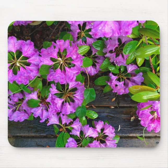 Elegant pink florals pink azaleas pink flowers mouse mat (Front)